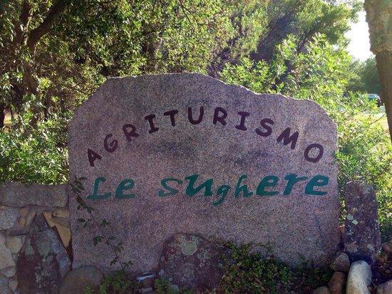 Le Sughere Padru Dış mekan fotoğraf