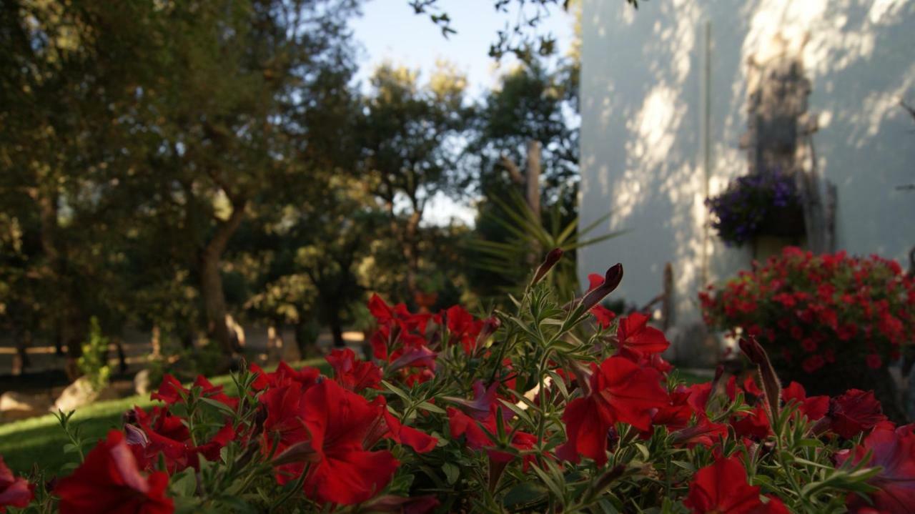 Le Sughere Padru Dış mekan fotoğraf